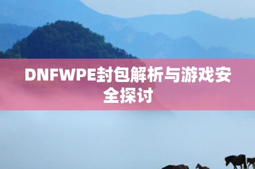 DNFWPE封包解析与游戏安全探讨图片