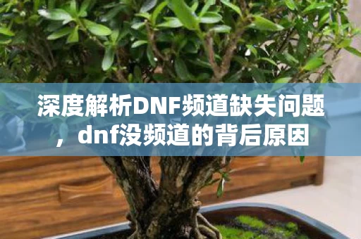 深度解析DNF频道缺失问题图片