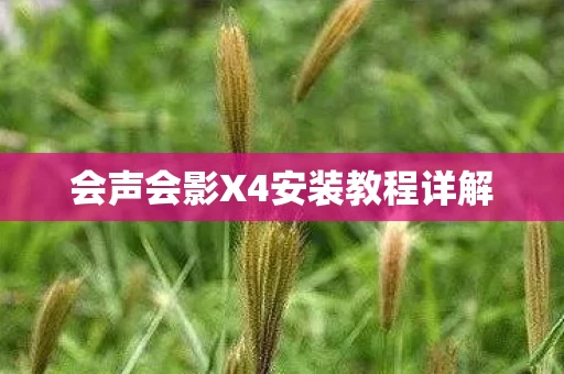 会声会影X4安装教程详解图片