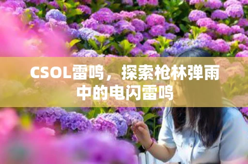 探索枪林弹雨中的电闪雷鸣图片