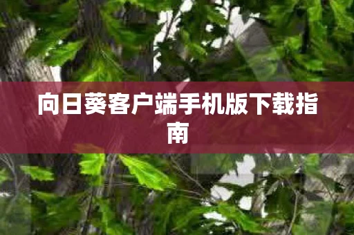 向日葵客户端手机版下载指南图片