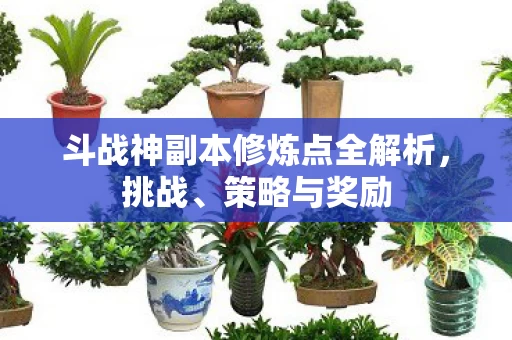 斗战神副本修炼点全解析图片