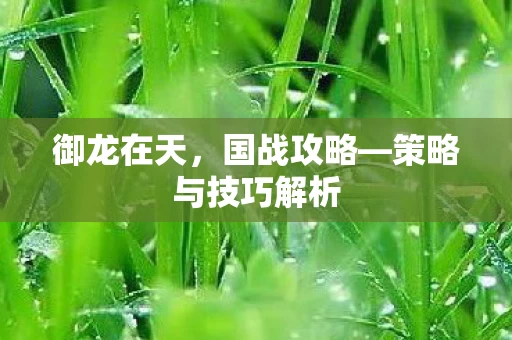 策略与技巧解析图片