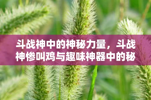 斗战神惨叫鸡与趣味神器中的秘密力量图片