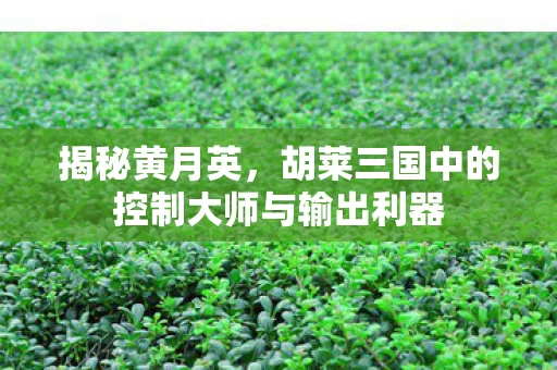胡莱三国中的控制大师与输出利器图片
