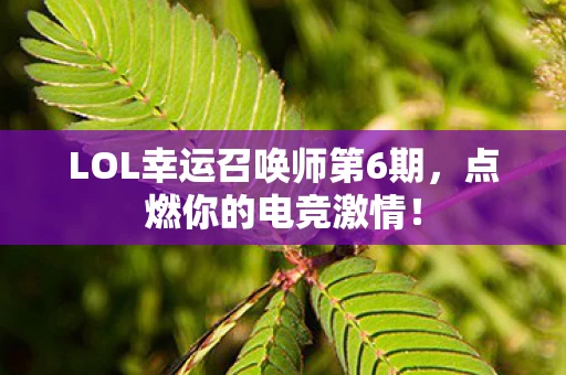 LOL幸运召唤师第6期图片