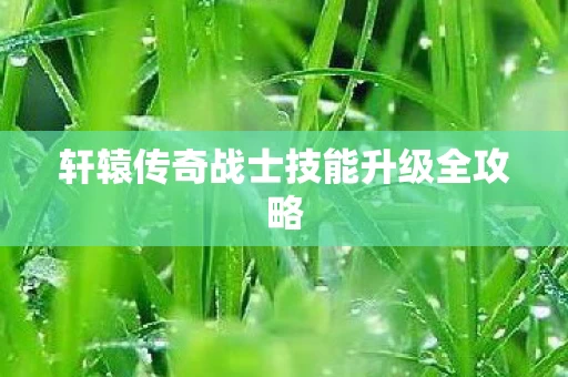 轩辕传奇战士技能升级全攻略图片