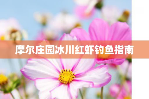 摩尔庄园冰川红虾钓鱼指南图片
