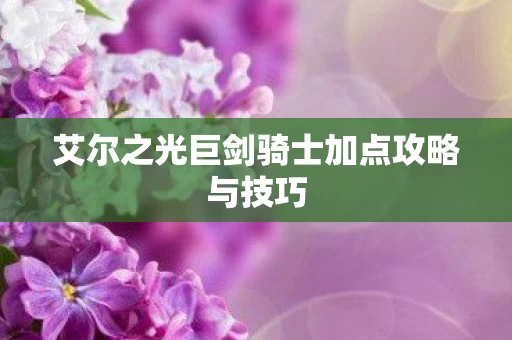 艾尔之光巨剑骑士加点攻略与技巧图片