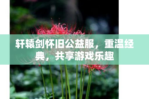 轩辕剑怀旧公益服图片