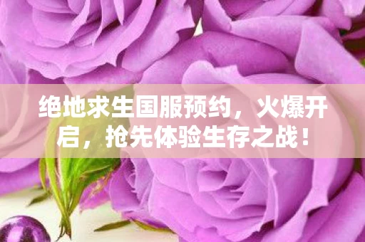 绝地求生国服预约图片