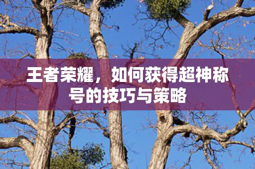 如何获得超神称号的技巧与策略图片