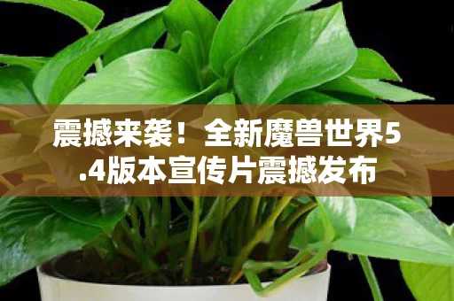 4版本宣传片震撼发布图片