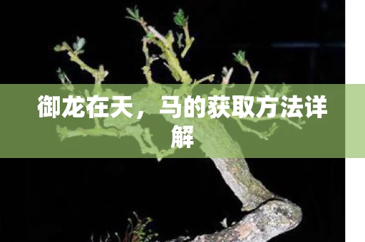 马的获取方法详解图片