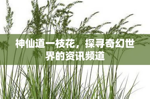 探寻奇幻世界的资讯频道图片