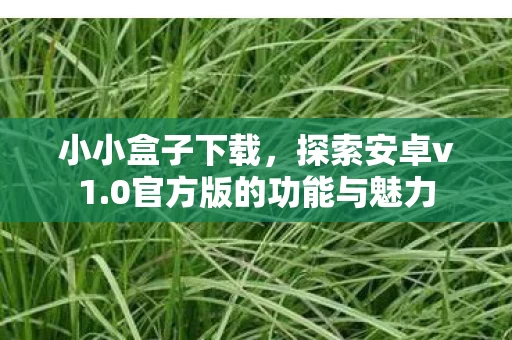 0官方版的功能与魅力图片