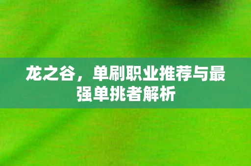 单刷职业推荐与最强单挑者解析图片