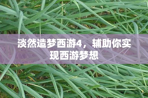 辅助你实现西游梦想图片