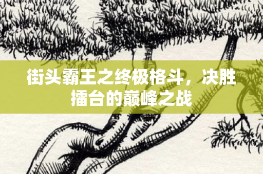 街头霸王之终极格斗图片