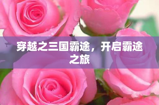 穿越之三国霸途图片