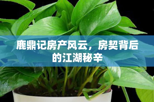 房契背后的江湖秘辛图片