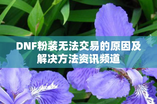 DNF粉装无法交易的原因及解决方法资讯频道图片