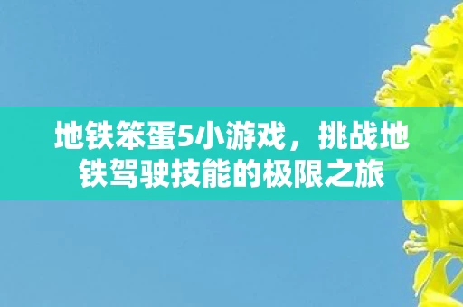 挑战地铁驾驶技能的极限之旅图片