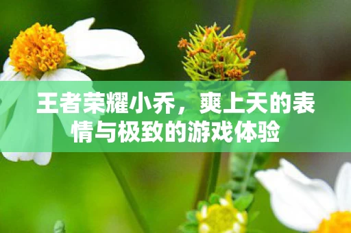 爽上天的表情与极致的游戏体验图片