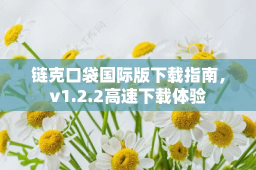 链克口袋国际版下载指南图片