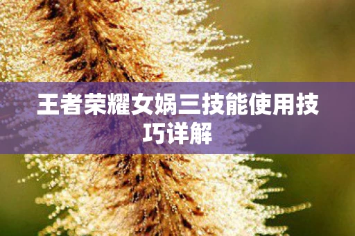 王者荣耀女娲三技能使用技巧详解图片