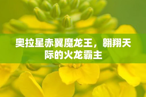 翱翔天际的火龙霸主图片