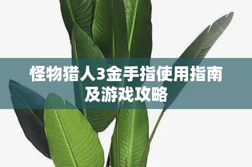 怪物猎人3金手指使用指南及游戏攻略图片