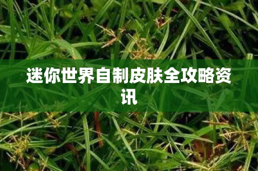 迷你世界自制皮肤全攻略资讯图片