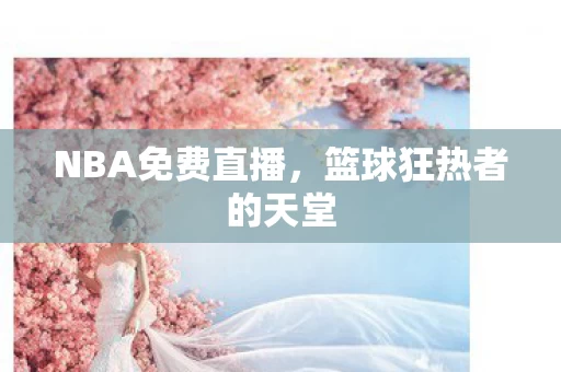 篮球狂热者的天堂图片