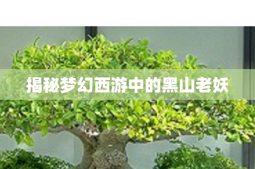 揭秘梦幻西游中的黑山老妖图片
