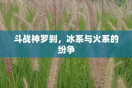 冰系与火系的纷争图片