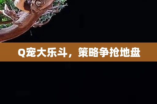 策略争抢地盘图片