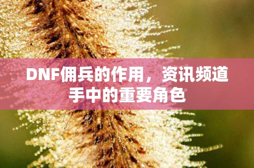 资讯频道手中的重要角色图片