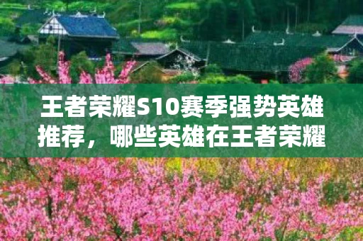 哪些英雄在王者荣耀S10中表现出色图片