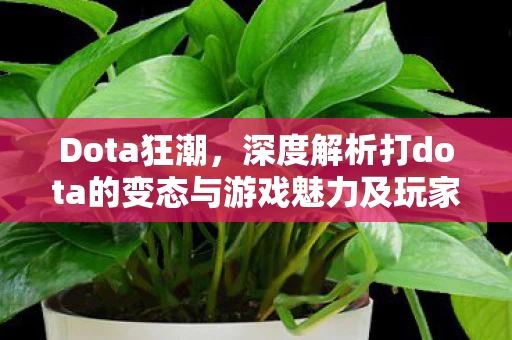 深度解析打dota的变态与游戏魅力及玩家心态图片