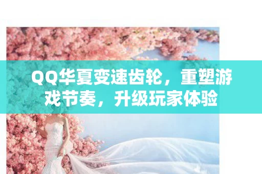 QQ华夏变速齿轮图片