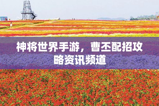 曹丕配招攻略资讯频道图片