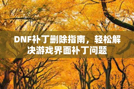 轻松解决游戏界面补丁问题图片