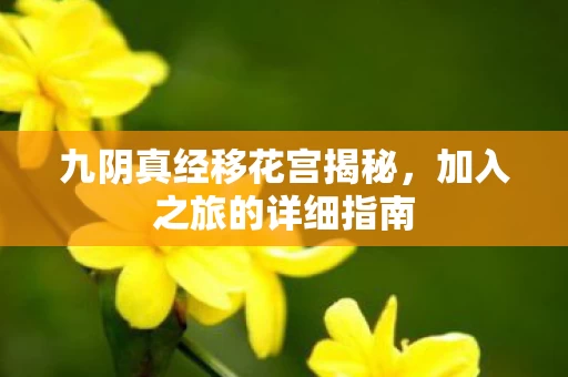 九阴真经移花宫揭秘图片