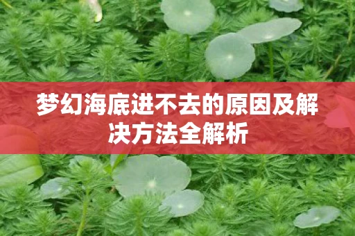 梦幻海底进不去的原因及解决方法全解析图片