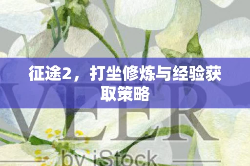 打坐修炼与经验获取策略图片