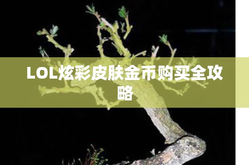 LOL炫彩皮肤金币购买全攻略图片