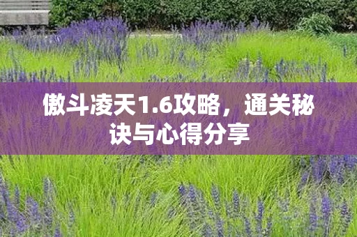 通关秘诀与心得分享图片