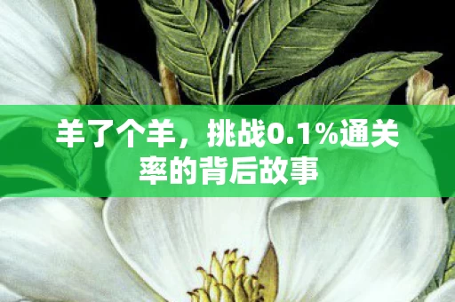 通关率的背后故事图片