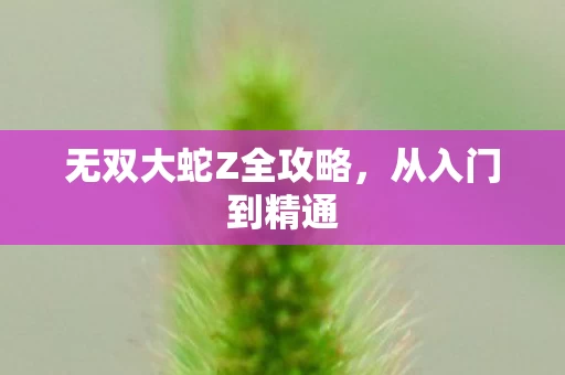 无双大蛇Z全攻略图片